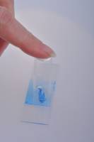 Evacuation bulles d'air